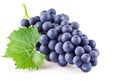 Blue grapes with green leaf