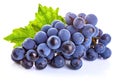 Blue grapes with green leaf healthy eating. Royalty Free Stock Photo