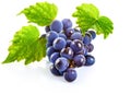 Blue grapes with green leaf healthy eating. Royalty Free Stock Photo