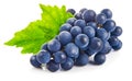 Blue grapes with green leaf healthy eating, on white background. Royalty Free Stock Photo