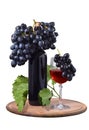 Blue grapes and a bottle of red wine isolated on a white background. Royalty Free Stock Photo