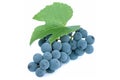 Blue grapes and leaf Royalty Free Stock Photo