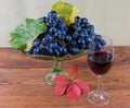 Blue grapes on vintage fruit vase, vine leaves, red wine Royalty Free Stock Photo