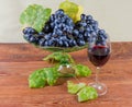 Blue grapes on vintage fruit vase, vine twig, red wine Royalty Free Stock Photo