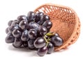 Blue grapes in a wicker basket isolated on white background Royalty Free Stock Photo