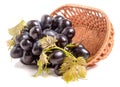 Blue grapes in a wicker basket isolated on white background Royalty Free Stock Photo