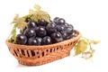 Blue grapes in a wicker basket isolated on white background Royalty Free Stock Photo