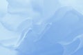 Blue gray gradient abstract background, soft pastel delicate background Royalty Free Stock Photo