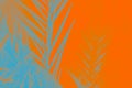 Blue gray date palm leaves on vivid orange lush lava background