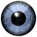 Blue gray eye texture, human eyeball