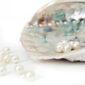 Blue and gray sea shell with little round pearls infront isolated white background Royalty Free Stock Photo