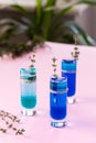 Blue and green alcoholic shots Royalty Free Stock Photo