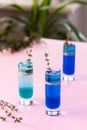 Blue and green alcoholic shots Royalty Free Stock Photo