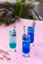 Blue and green alcoholic shots Royalty Free Stock Photo