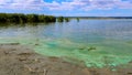 Blue-green algae (Microcystis aeruginosa) blooms in Yalpug lake, Ukraine