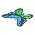 Blue green butterfly icon, isometric style Royalty Free Stock Photo