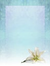 Spiritual Holistic single lily head Diploma Certificate Award Border Frame background