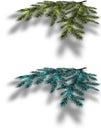 Blue and green Christmas tree branches on an isolated white background with the shadow in perspective. illustration Royalty Free Stock Photo