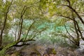 Blue green color of Achensee, fresh Turquoise water of Achen Lake in Tyrol, Austria, Europe Royalty Free Stock Photo