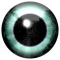 Blue green eyeball with black round