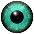 Blue green eyeball with black round