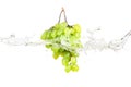 Blue and green grape with water splash isolated white Royalty Free Stock Photo