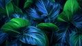 Blue and Green Illuminated Tropical Leaves