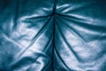 Blue green leather texture closeup, useful as background Royalty Free Stock Photo