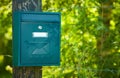 Blue, green mailbox surrounded by nature and green plants