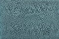 Blue green pale texture of leather material Royalty Free Stock Photo