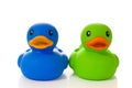 Blue and Green Rubber Ducks