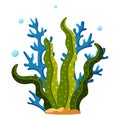 Blue and green sea plants