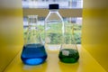 Blue and green solution in the glass beakers on yellow shelf Royalty Free Stock Photo