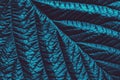 Blue green toned leaf botanical background, trendy abstract floral texture Royalty Free Stock Photo