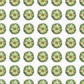 Blue green top view pumpkin seamless pattern on isolated white background.Autumn farm vegetables illustration. Fall Royalty Free Stock Photo