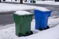 A blue and a green trash can covered with snow by the side of a snow covered, freshly plowed street waiting for garbage pickup