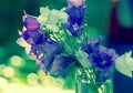 Blue green vintage harebell flowers