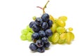 Blue and green wet grapes bunch isolated on white background Royalty Free Stock Photo