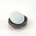 Blue-Grey Egg Royalty Free Stock Photo