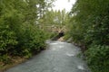 Glacial stream under a bridge Royalty Free Stock Photo