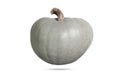 Blue-grey pumpkin side view isolated on white background