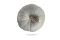 Blue-grey pumpkin top view isolated on white background