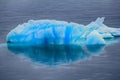 Blue growler (piece of iceberg) with reflection in calm water Royalty Free Stock Photo