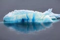 Blue growler (piece of iceberg) with reflection in calm water Royalty Free Stock Photo