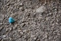 Blue gum wad on pebbled street Royalty Free Stock Photo