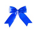 Blue hair bow Royalty Free Stock Photo