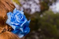 A Blue Hair Clip in the Shape of a Rose Royalty Free Stock Photo