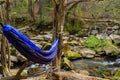 Blue hammock in the woods with a small river Royalty Free Stock Photo