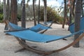 Blue hammocks on sand under palm trees Royalty Free Stock Photo