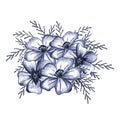 Blue Hand-Drawn Flower Composition. Thin-leaved Marigolds Sketch